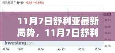 11月7日舒利亚局势深度解析，最新动态与观察分析