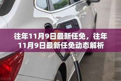 往年11月9日最新任免动态解析及任免消息概览