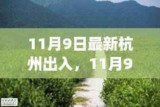 11月9日杭州之行，探寻自然足迹，拥抱内心宁静