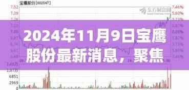 宝鹰股份未来展望，最新动态下的观点碰撞与个人立场