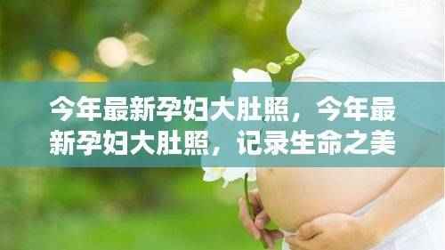 目不转睛 第48页