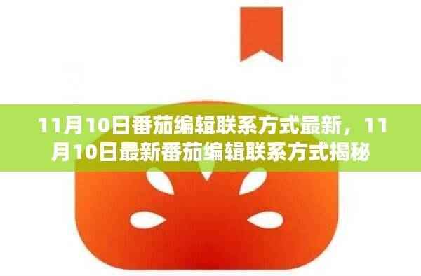 揭秘最新番茄编辑联系方式,11月10日更新版