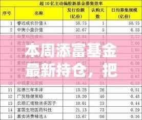 添富基金最新持仓揭示,变化的力量与学习的魅力,把握当下投资机遇