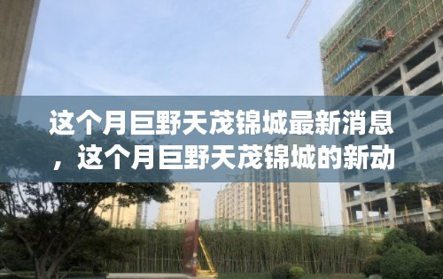 深度解读巨野天茂锦城本月最新动态及消息更新