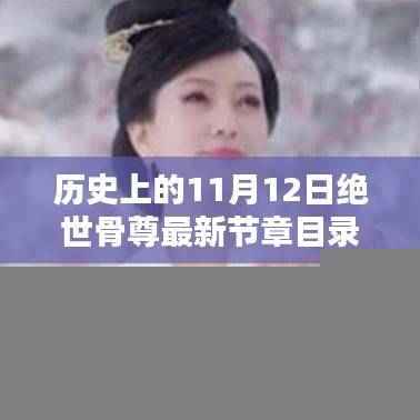 绝世骨尊最新章节目录获取指南，历史上的11月12日详细步骤解析