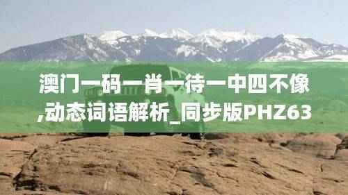 澳门一码一肖一待一中四不像,动态词语解析_同步版PHZ633.5