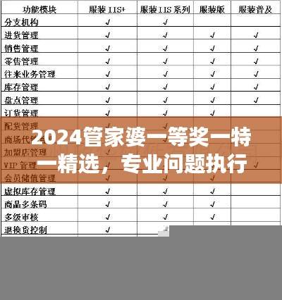 2024管家婆一等奖一特一精选，专业问题执行修订版GRV973.11