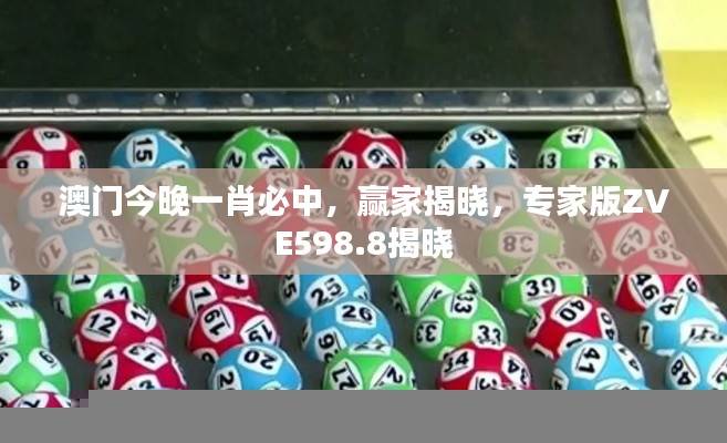 澳门今晚一肖必中，赢家揭晓，专家版ZVE598.8揭晓