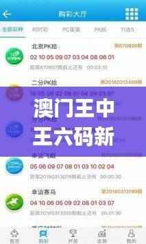 澳门王中王六码新攻略,资源执行战术_快速学习版UNM80.66