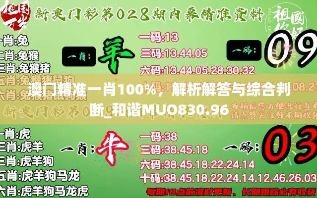 澳门精准一肖100%,解析解答与综合判断_和谐MUO830.96