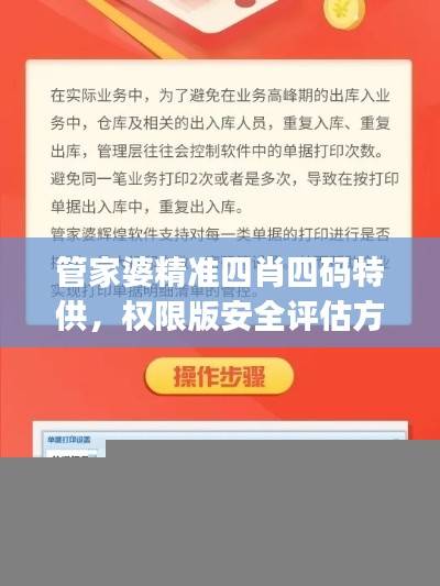 管家婆精准四肖四码特供，权限版安全评估方案MUJ628.48