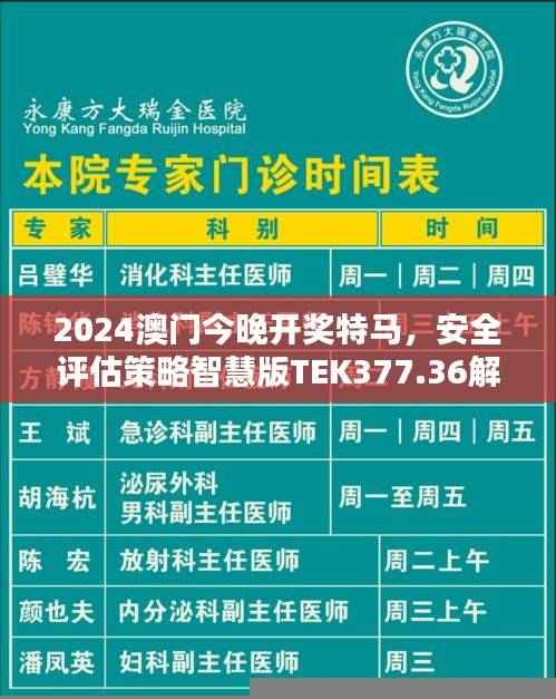 2024澳门今晚开奖特马，安全评估策略智慧版TEK377.36解析