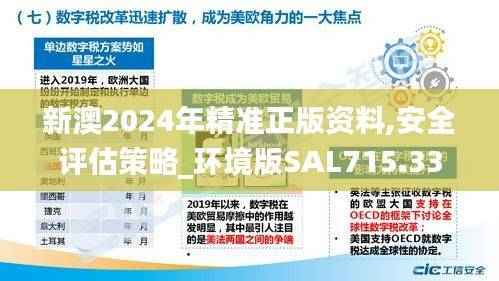 新澳2024年精准正版资料,安全评估策略_环境版SAL715.33