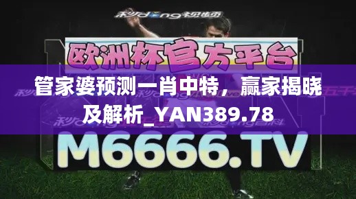 管家婆预测一肖中特,赢家揭晓及解析_YAN389.78