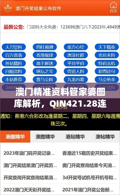澳门精准资料管家婆图库解析,QIN421.28连续版揭秘