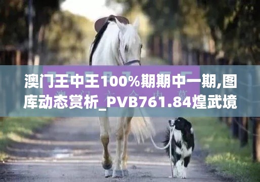 澳门王中王100%期期中一期,图库动态赏析_PVB761.84煌武境