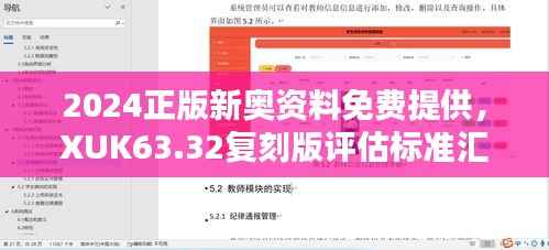 2024正版新奥资料免费提供，XUK63.32复刻版评估标准汇总