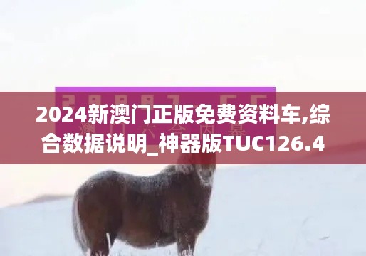 2024新澳门正版免费资料车,综合数据说明_神器版TUC126.47