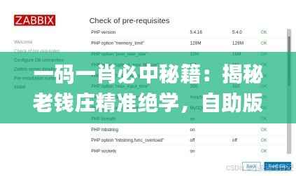 一码一肖必中秘籍：揭秘老钱庄精准绝学，自助版解析详解_IUY103.47