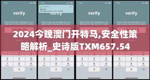 2024今晚澳门开特马,安全性策略解析_史诗版TXM657.54