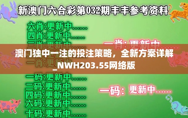 澳门独中一注的投注策略,全新方案详解_NWH203.55网络版