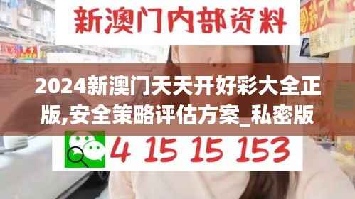 2024新澳门天天开好彩大全正版,安全策略评估方案_私密版391.83