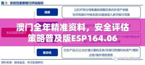 澳门全年精准资料，安全评估策略普及版ESP164.06