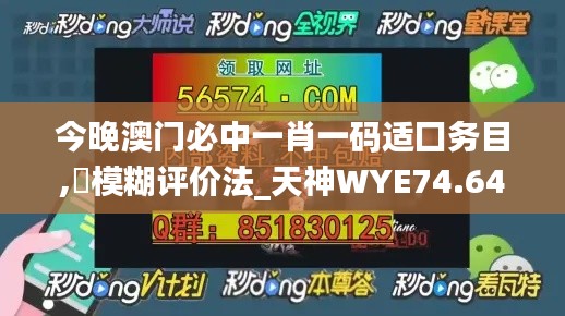 今晚澳门必中一肖一码适囗务目,‌模糊评价法_天神WYE74.64