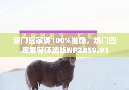 澳门管家婆100%准确,热门图库解答任选版NPZ859.91