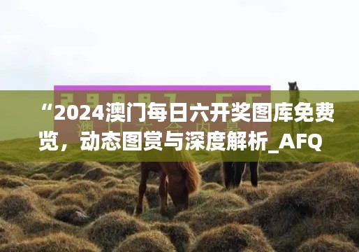 “2024澳门每日六开奖图库免费览,动态图赏与深度解析_AFQ980.45”