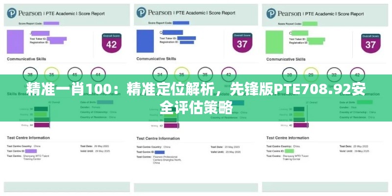 精准一肖100:精准定位解析,先锋版PTE708.92安全评估策略