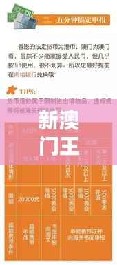 poniaocuiji 第13页