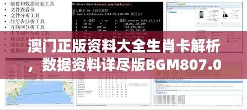 澳门正版资料大全生肖卡解析,数据资料详尽版BGM807.07