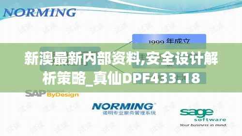 新澳最新内部资料,安全设计解析策略_真仙DPF433.18
