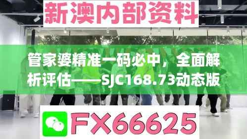 管家婆精准一码必中,全面解析评估——SJC168.73动态版