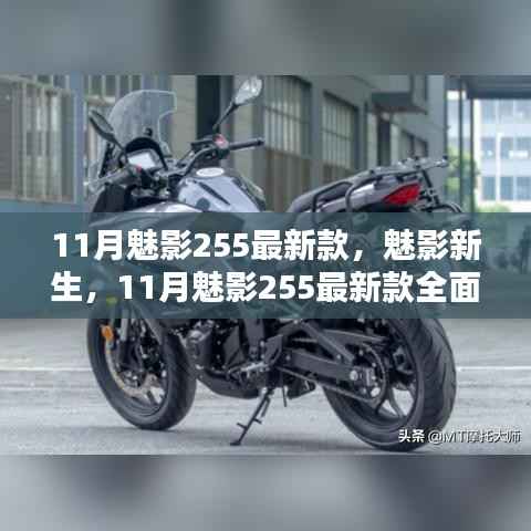 11月魅影255最新款全面解析,新生魅力揭秘