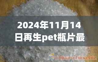 再生PET瓶片新星闪耀,揭秘未来价格,体验科技重塑生活之美