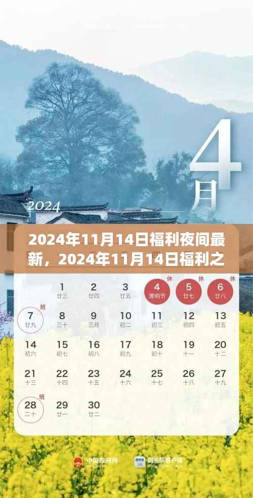 星光璀璨之夜,2024年福利狂欢盛宴
