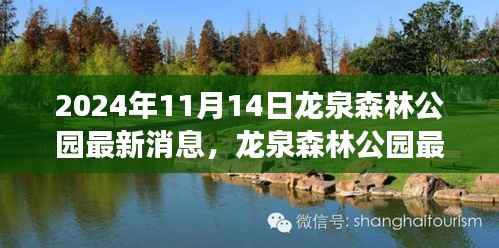 揭秘龙泉森林公园未来规划与发展蓝图（最新消息报道）