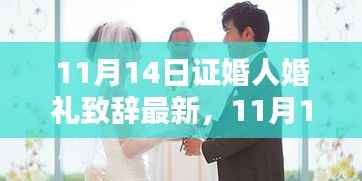 最新证婚人婚礼致辞精选,全面评测与介绍(11月14日)