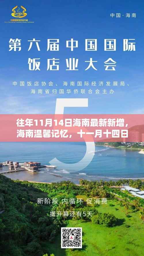 海南历年11月14日最新动态,温馨记忆里的特别日子