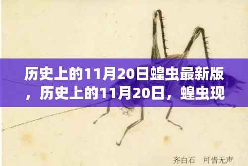 商品分类 第297页