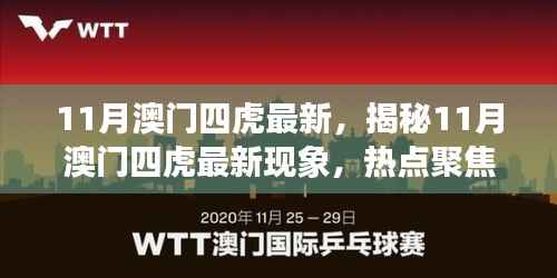 揭秘热点，11月澳门四虎最新现象深度解读与聚焦