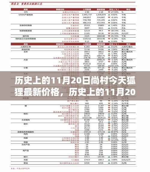 历史上的11月20日尚村狐狸价格概览,今日市场最新动态与价格概览对比分析