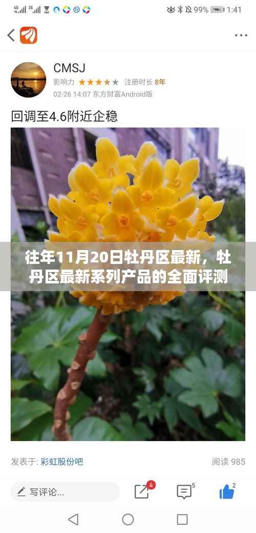 牡丹区最新系列产品全面评测与深度解析,特性、体验、竞品对比及目标用户分析