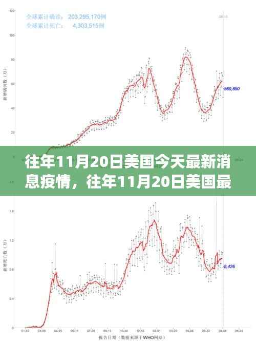 往年11月20日美国疫情最新消息全面解读与解析