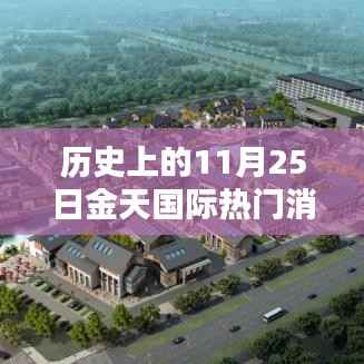 历史上的11月25日金天国际,全面评测与热门消息介绍