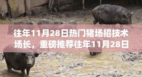 猪场盛邀技术场长加盟,职场新机遇挑战来袭!