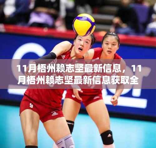 11月梧州赖志坚最新信息获取全攻略，一步步教你追踪与了解