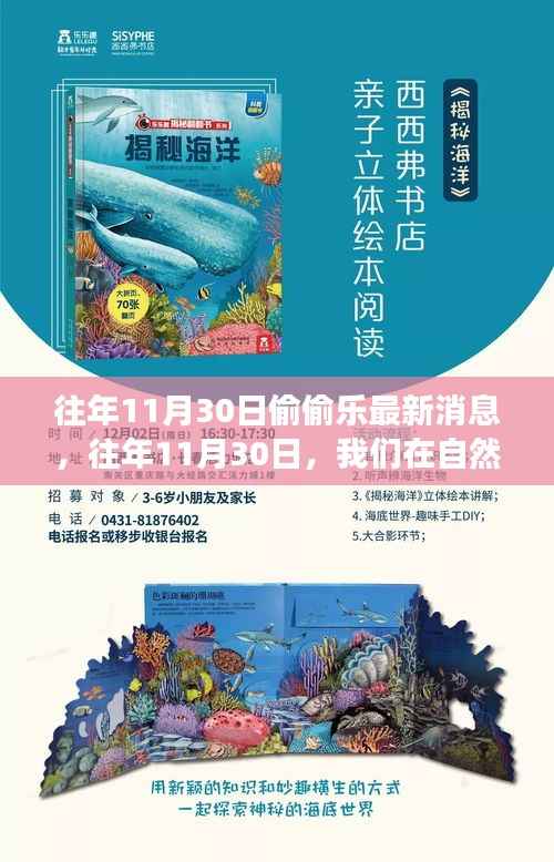 往年11月30日的新发现之旅，自然美景中的偷偷乐